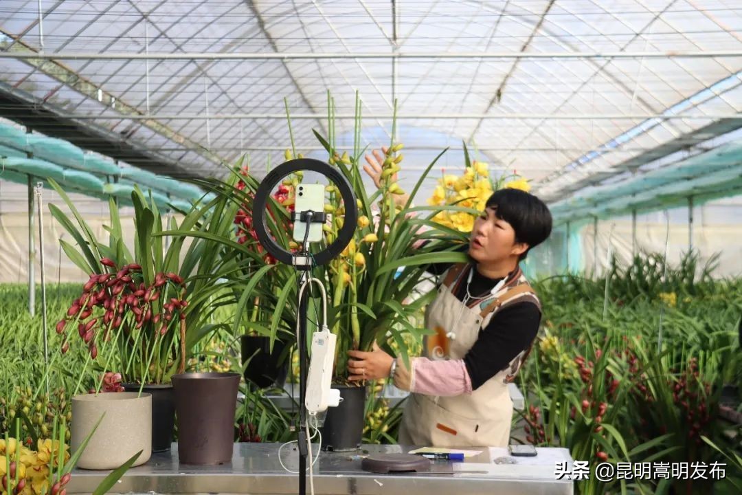 嵩明拍摄,嵩明逛逛电子商务