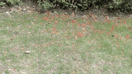 露营户外电源实用推荐,用于户外露营一般用电的电源多大