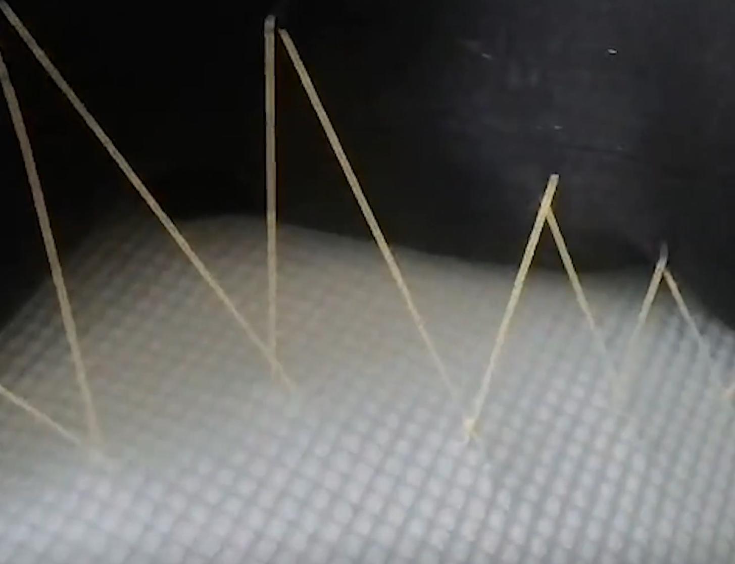 男子躺5小时不起被妻子缝沙发上,丈夫躺在沙发上睡着