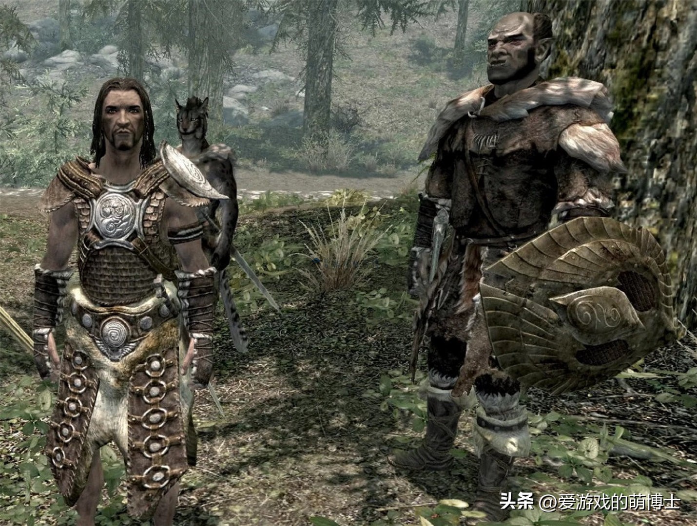 上古卷轴5关闭魔法防护罩,上古卷轴5高级魔法怎么学