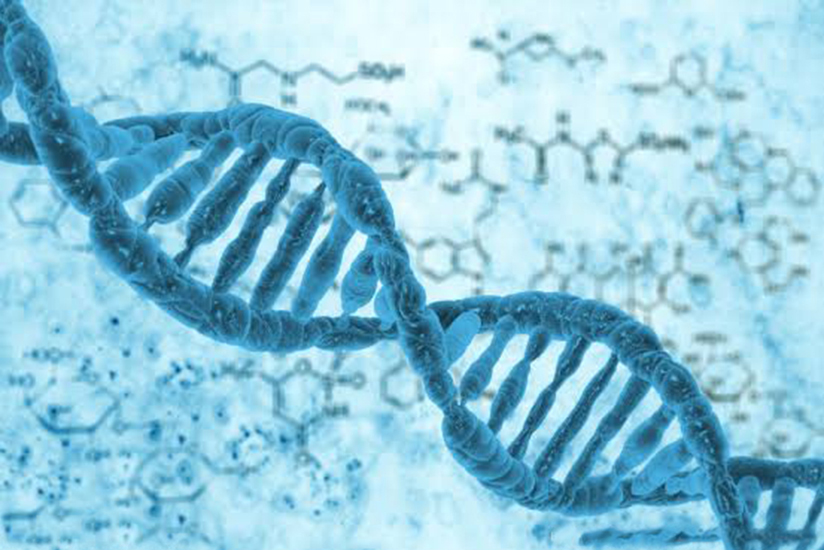 驴和马能混养吗,马和驴能杂交不能养牛吗