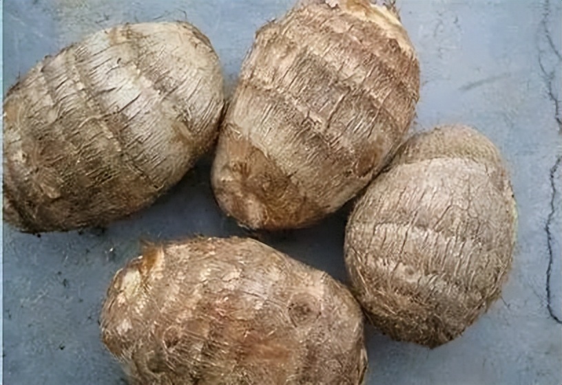 降血压血糖的水果蔬菜一般有哪些,血糖高的人吃什么主食和蔬菜最好