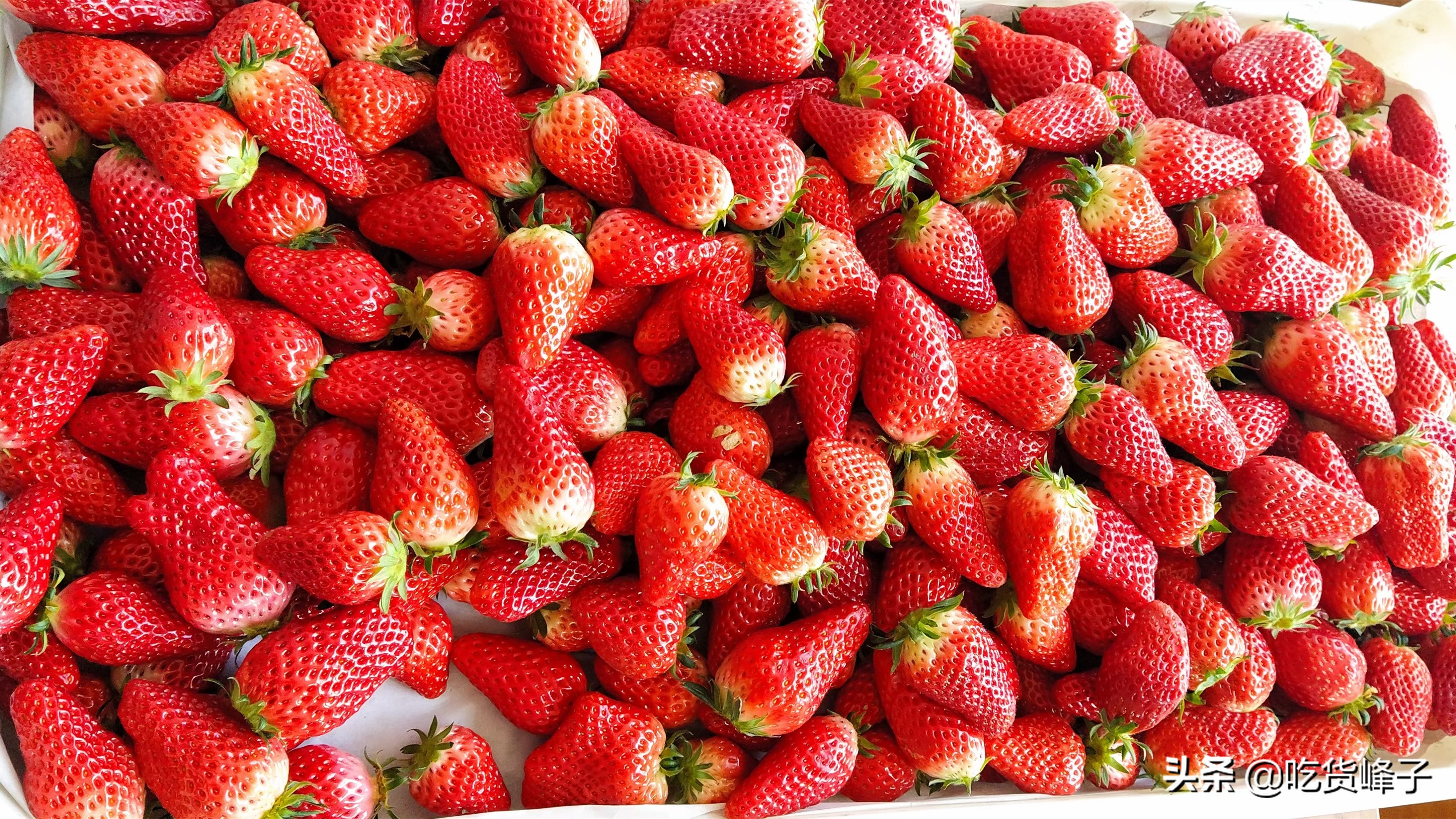 春季不能错过的水果当然要鲜着吃,春天应该吃8种营养果