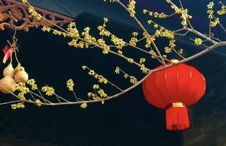 中考语文散文主旨理解题,中考语文现代文阅读常考类型