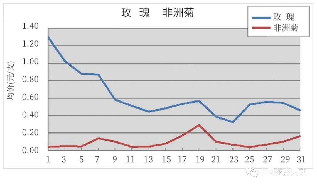 KIFA广州沈阳成都郑州昆明台北日本8月切花|行情