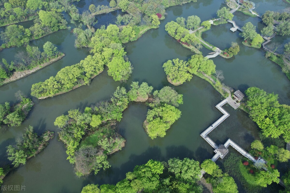 巨蟹座狮子座处女座今日运势,狮子座巨蟹座下半月运势