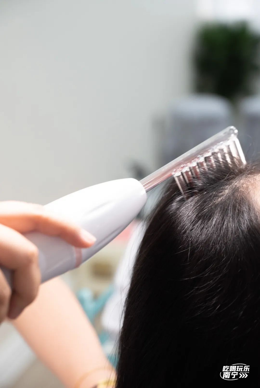 大数据请把这篇文章推给头发焦虑的南宁人