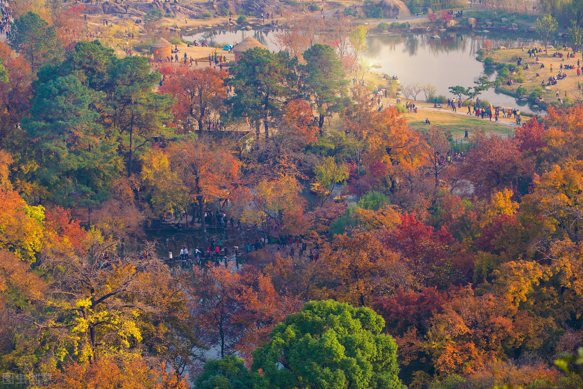 秋天的苏州必去的景点,苏州秋天小众景点推荐