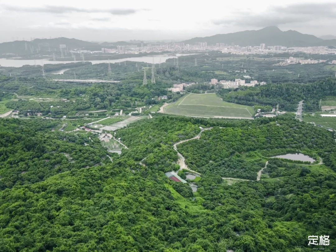 深圳比较危险的山,深圳很小众的山