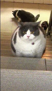 女代驾花了1800多,叫了个女代驾花了1800元