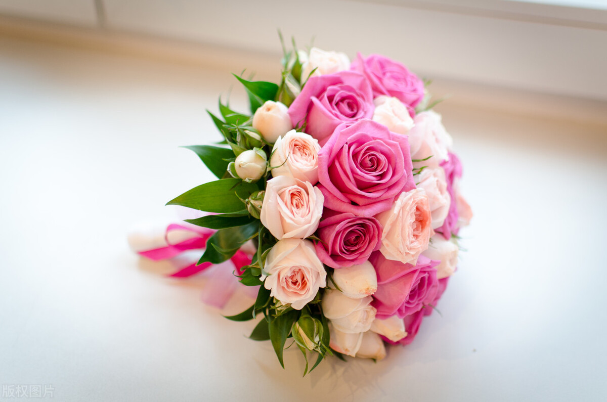 婆婆搬过来同住挺高兴,婆婆搬过来和我们同住