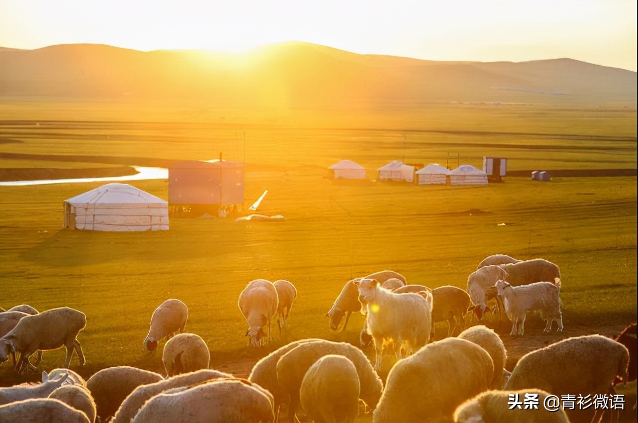 五首有关秋天的古诗三年级,秋天古诗最好的10首三年级上册