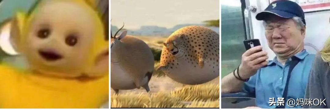 手机怎么把很多张照片整理成文档,手机珍藏的15张照片