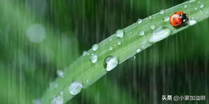 惊蛰前后打雷下雨有什么讲究,惊蛰刮风有什么预兆