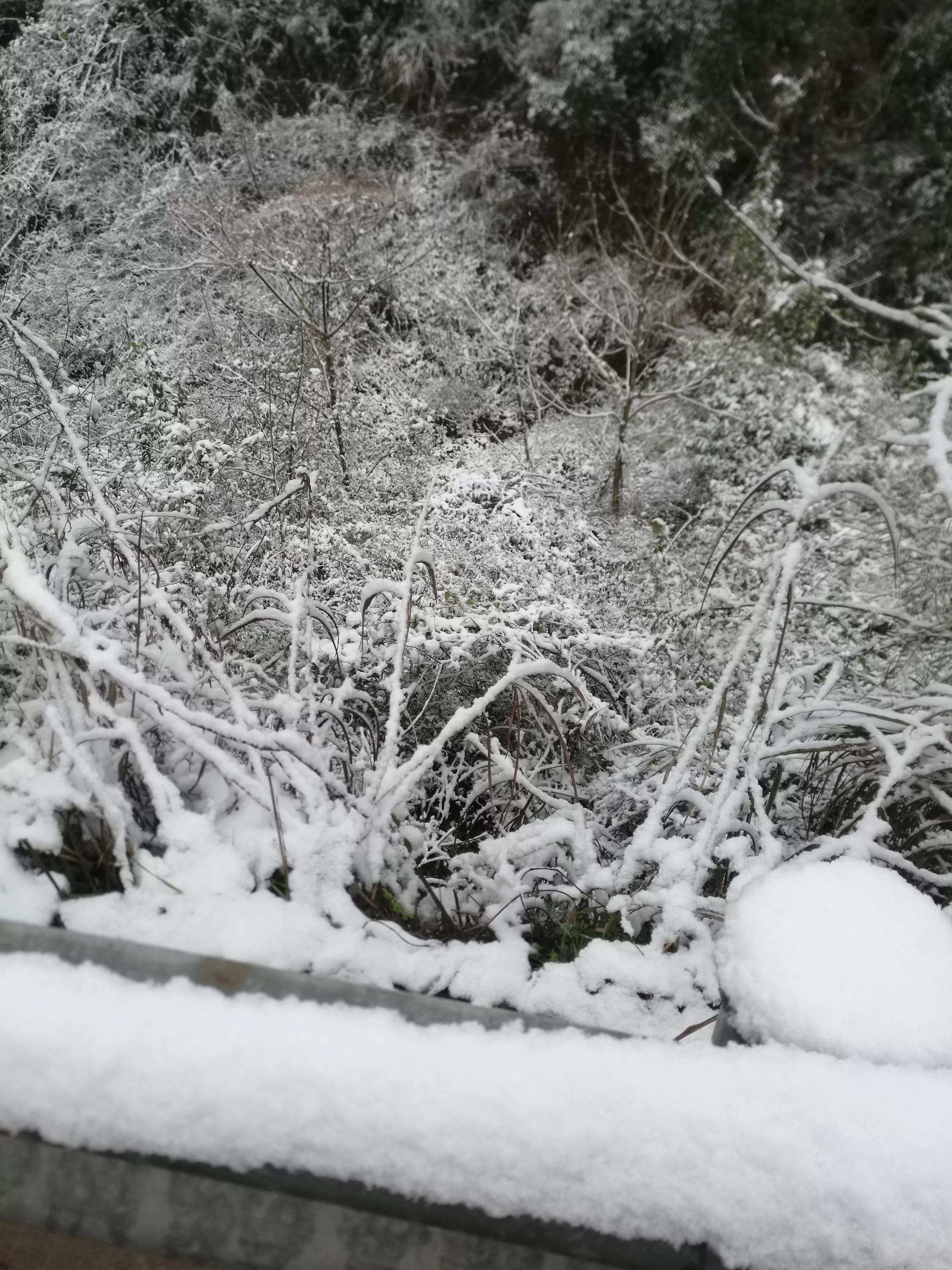 一个桌球引发的血案,桌球引发的血案