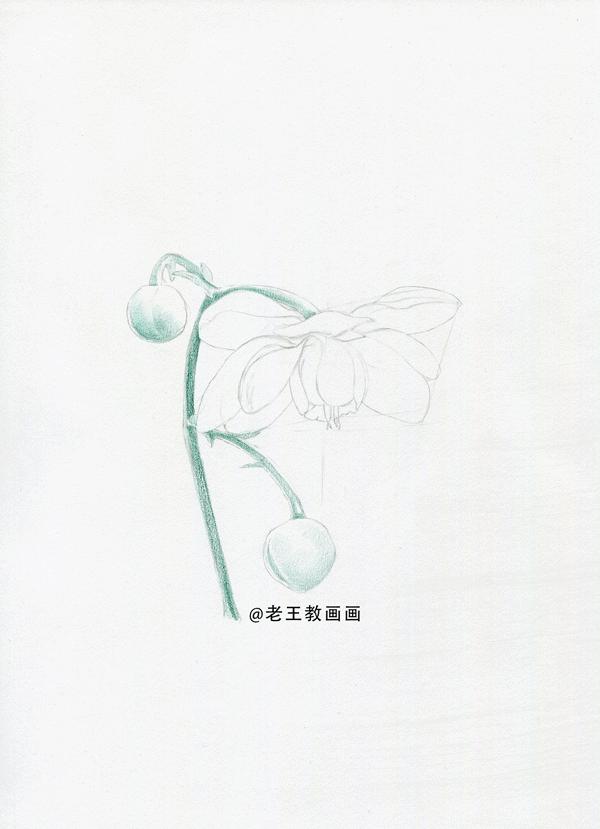 彩铅花卉画教程,零基础怎么画彩铅苹果
