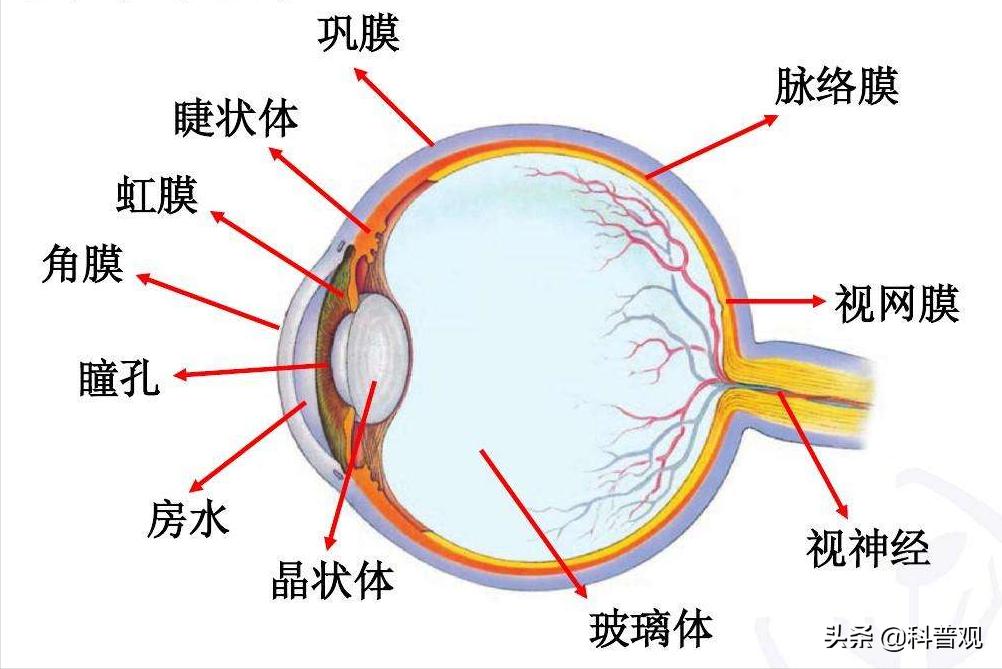 科普关于近视手术的三大谣言,专家揭秘近视手术真相