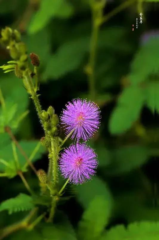 人为什么要照顾好自己的身体,照顾好自己的身体就是赚钱