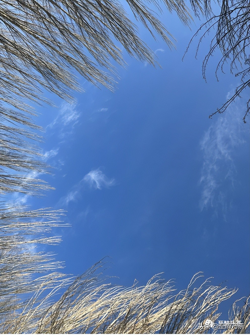 为啥男人在家里永远找不到东西