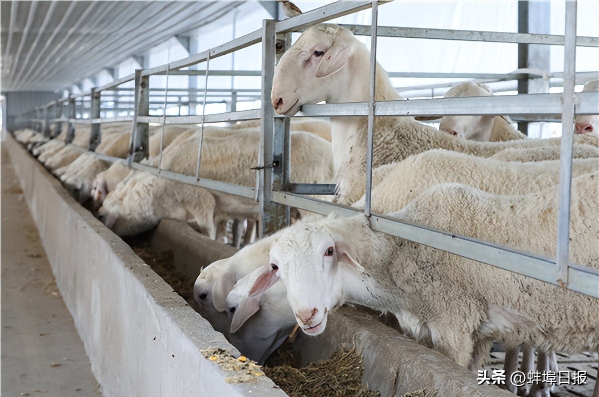 走在乡村振兴的路上视频,走在乡村振兴的路上