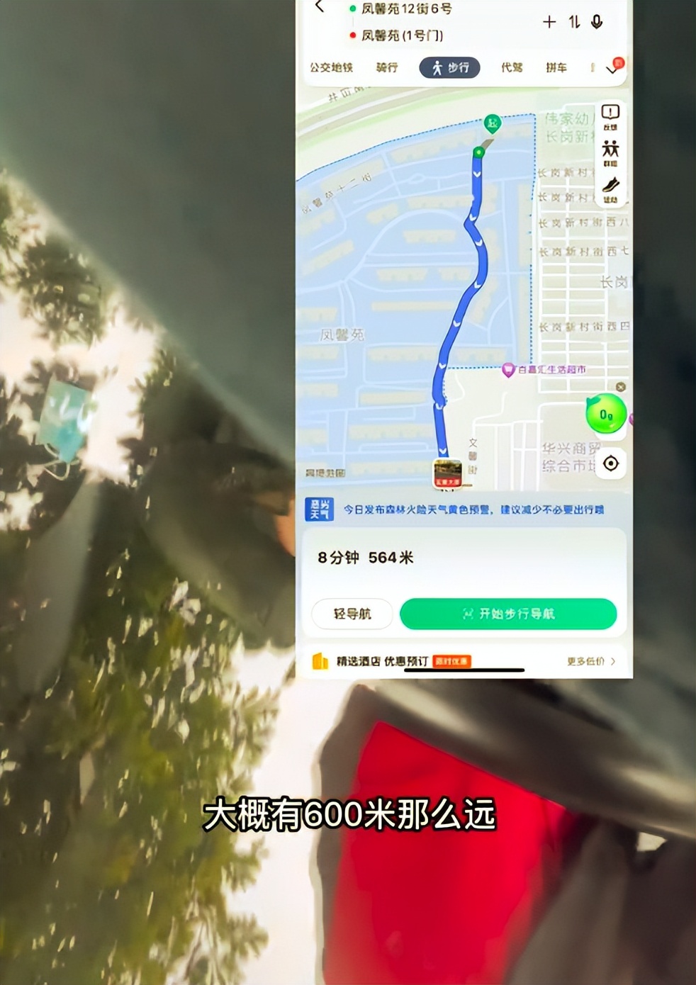 顶流明星整容，男星妻子被婆家虐待，除了汪小菲，这四个瓜也精彩