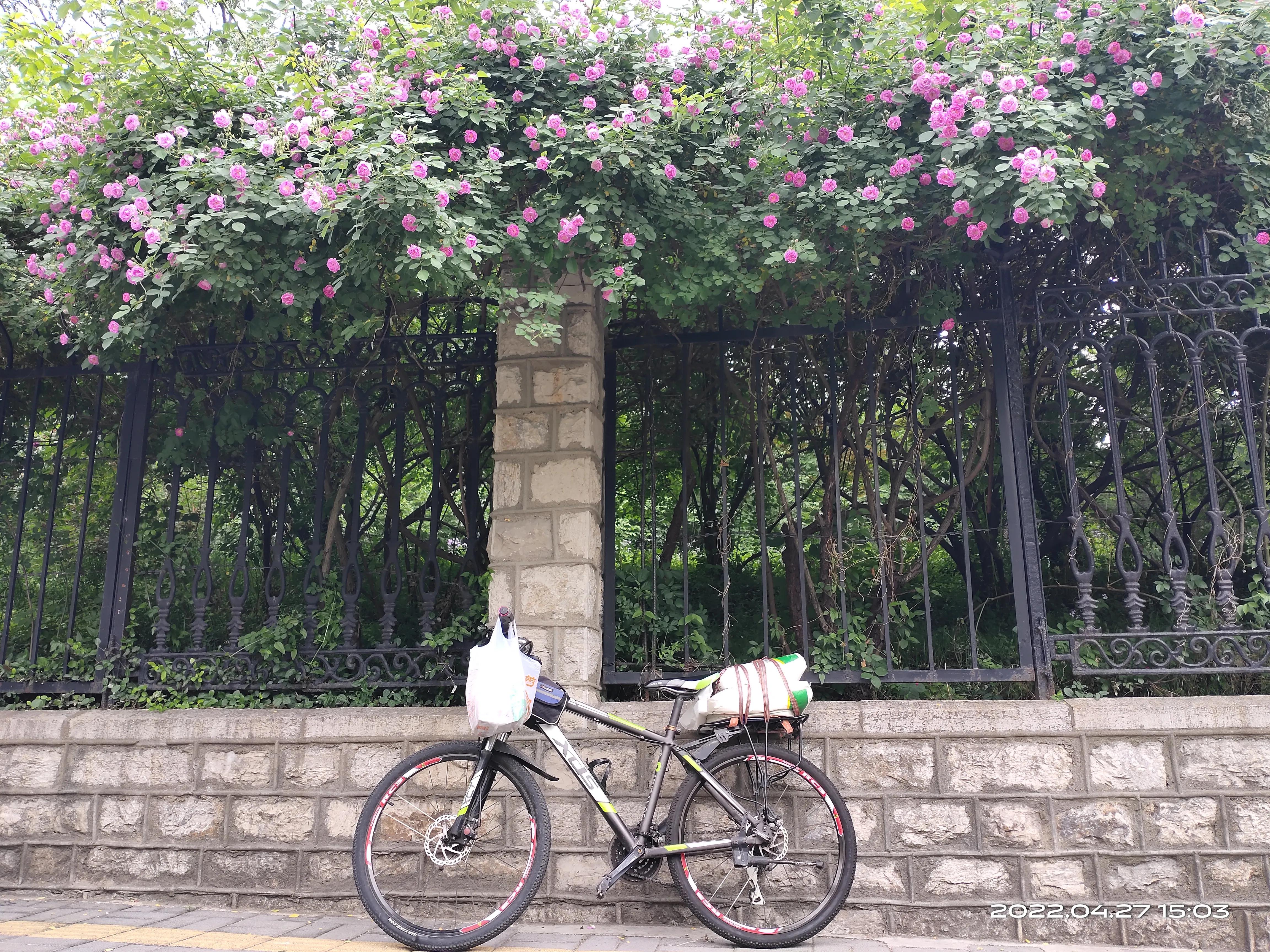 山地车需要安装后货架吗,山地车前挡泥板安装视频