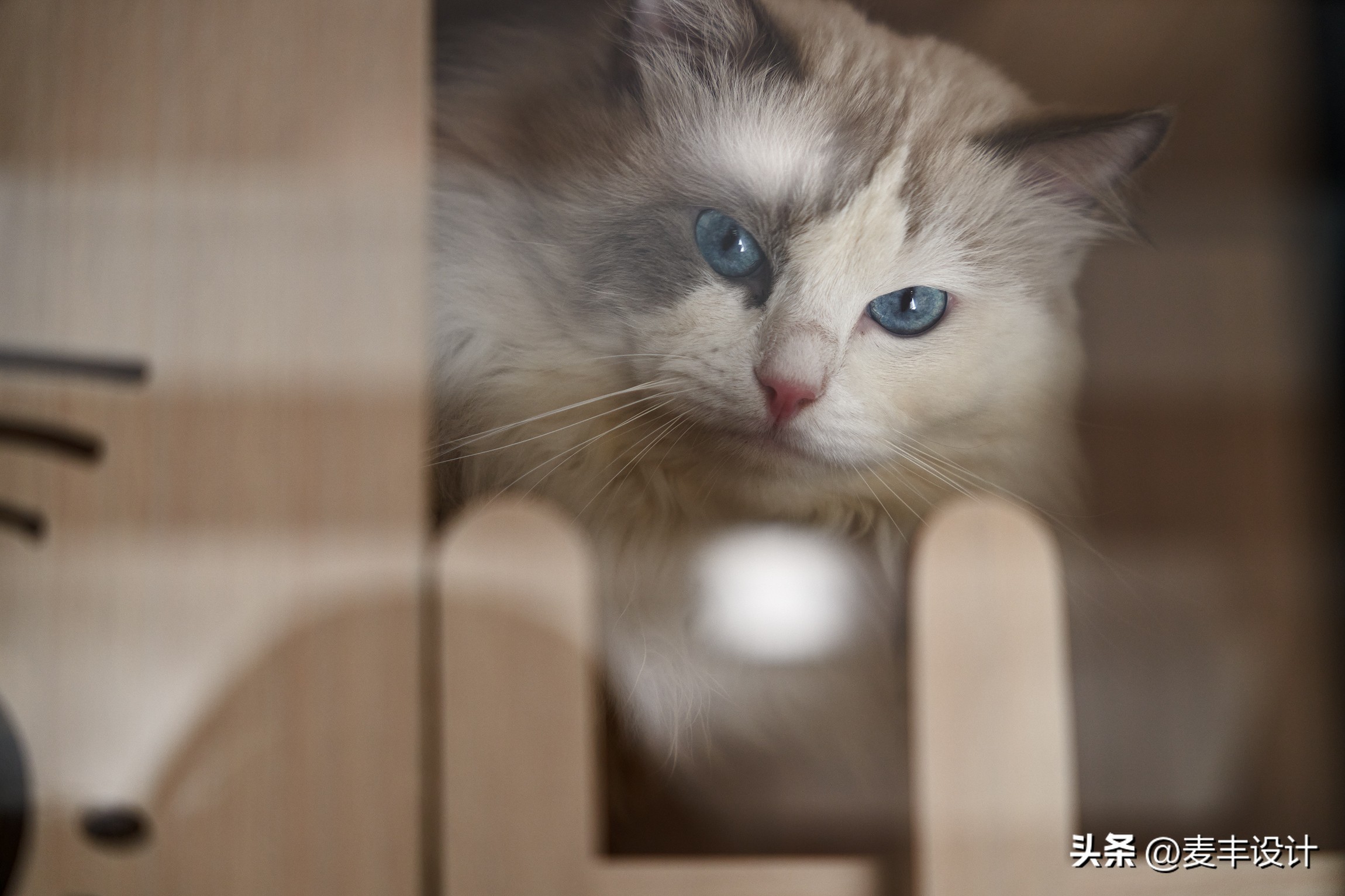 MHOO|沐光而居220㎡白马御府现代复式私宅