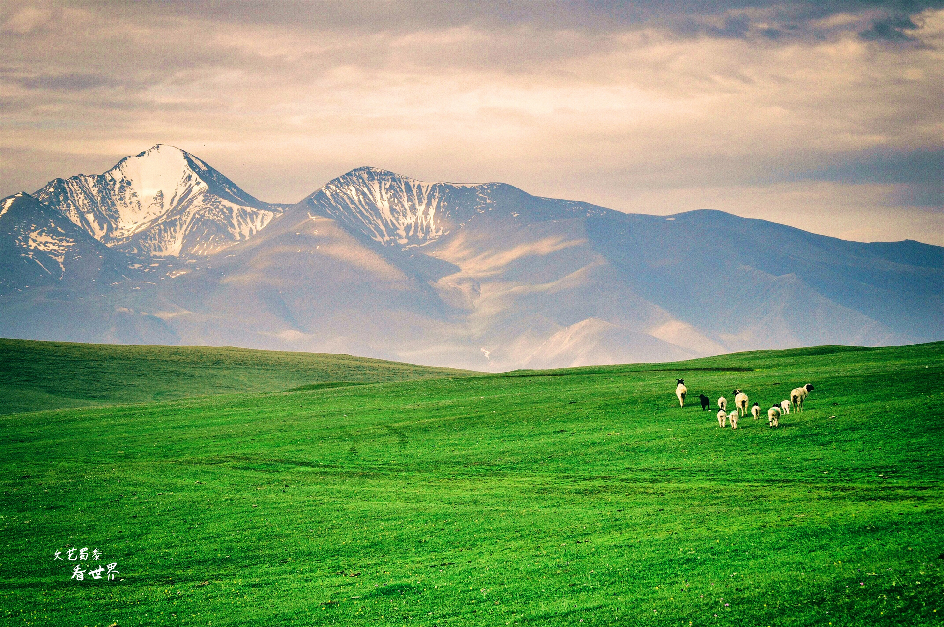 为何说*疆新**旅游一定要去巴音布鲁克草原？而且景区最好选择傍晚去
