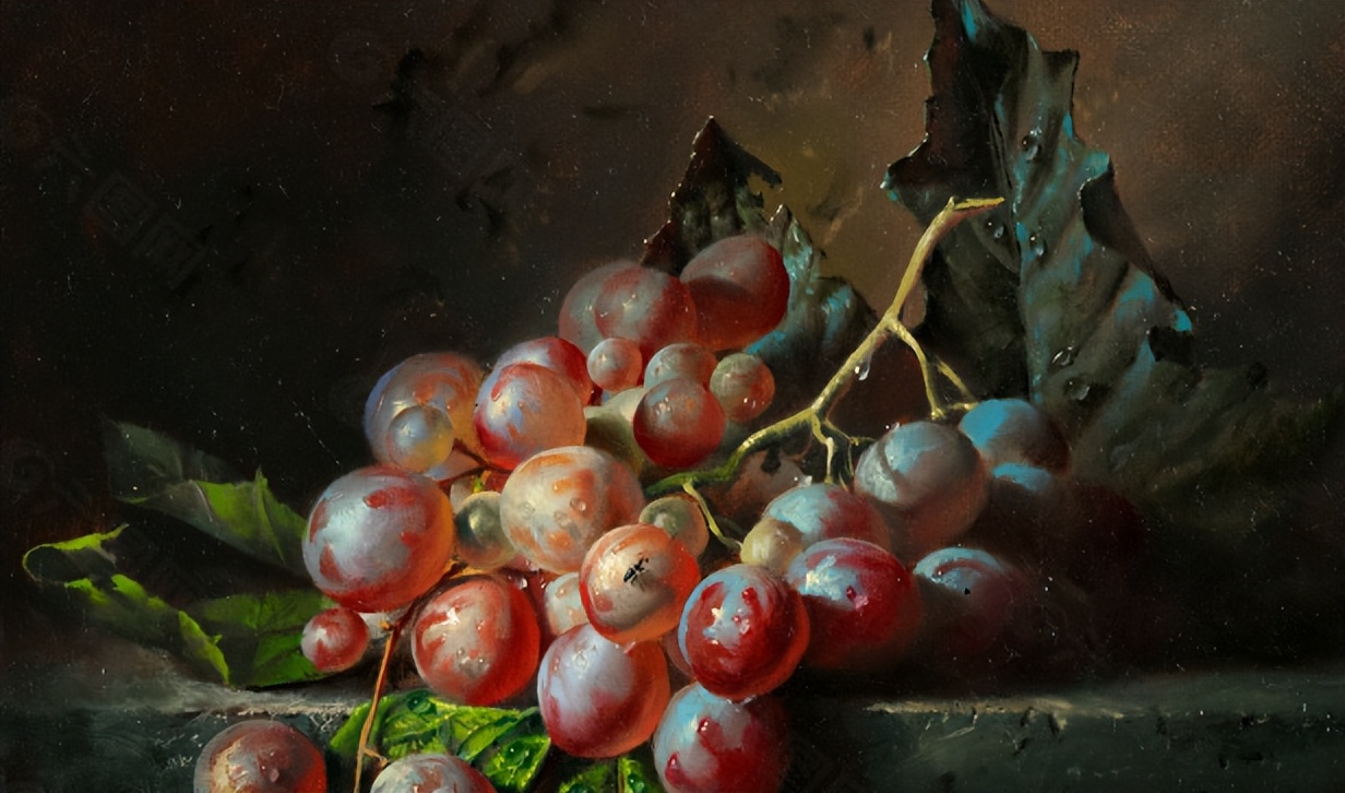 洋蓟的叶子,洋蓟的叶片