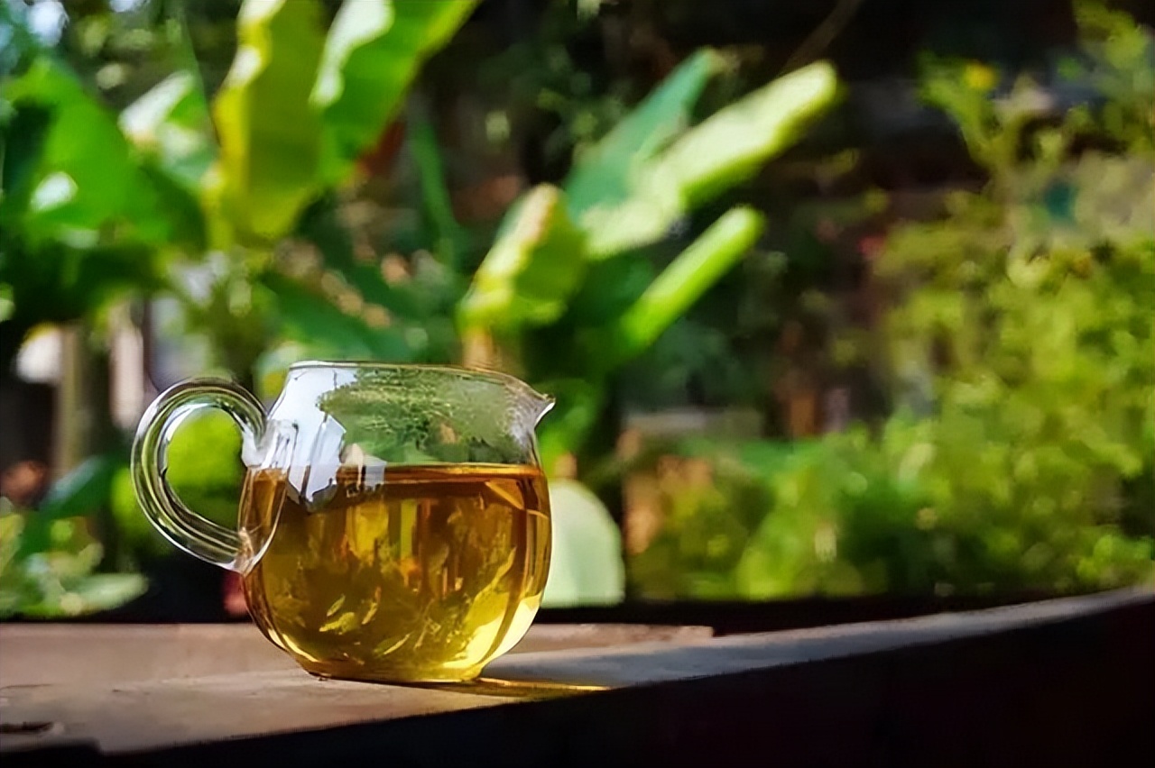 普洱茶各大山头的特性和口感图文,普洱茶老茶头的口感特点有哪些