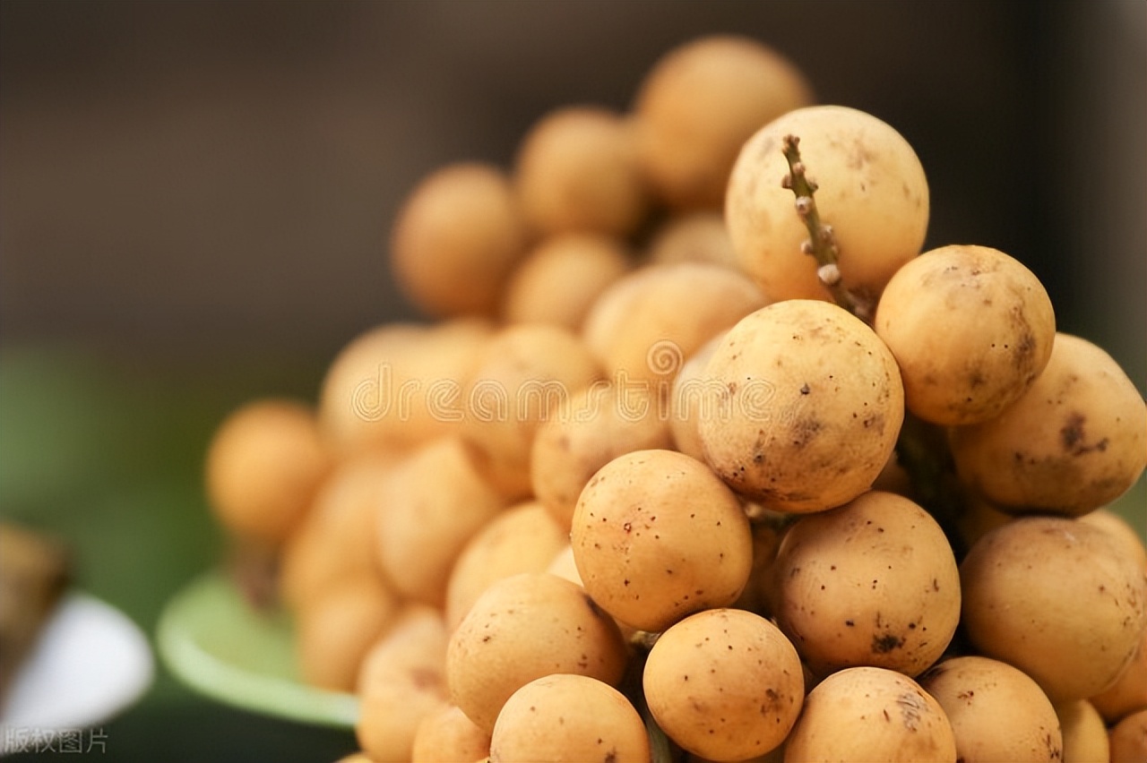 桂圆山竹龙宫果,龙宫果是山竹吗