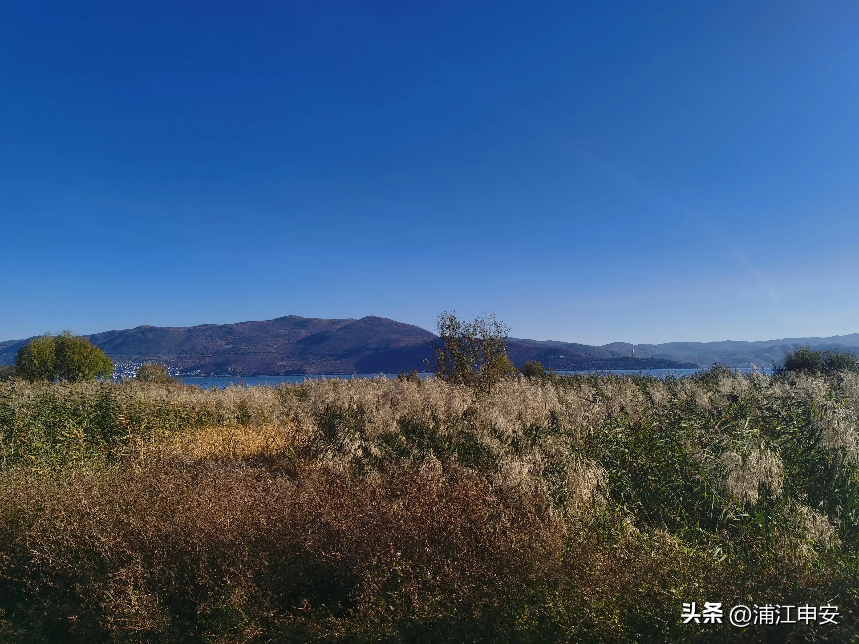 云南大理洱海龙龛码头看海景,大理洱海生态走廊精华