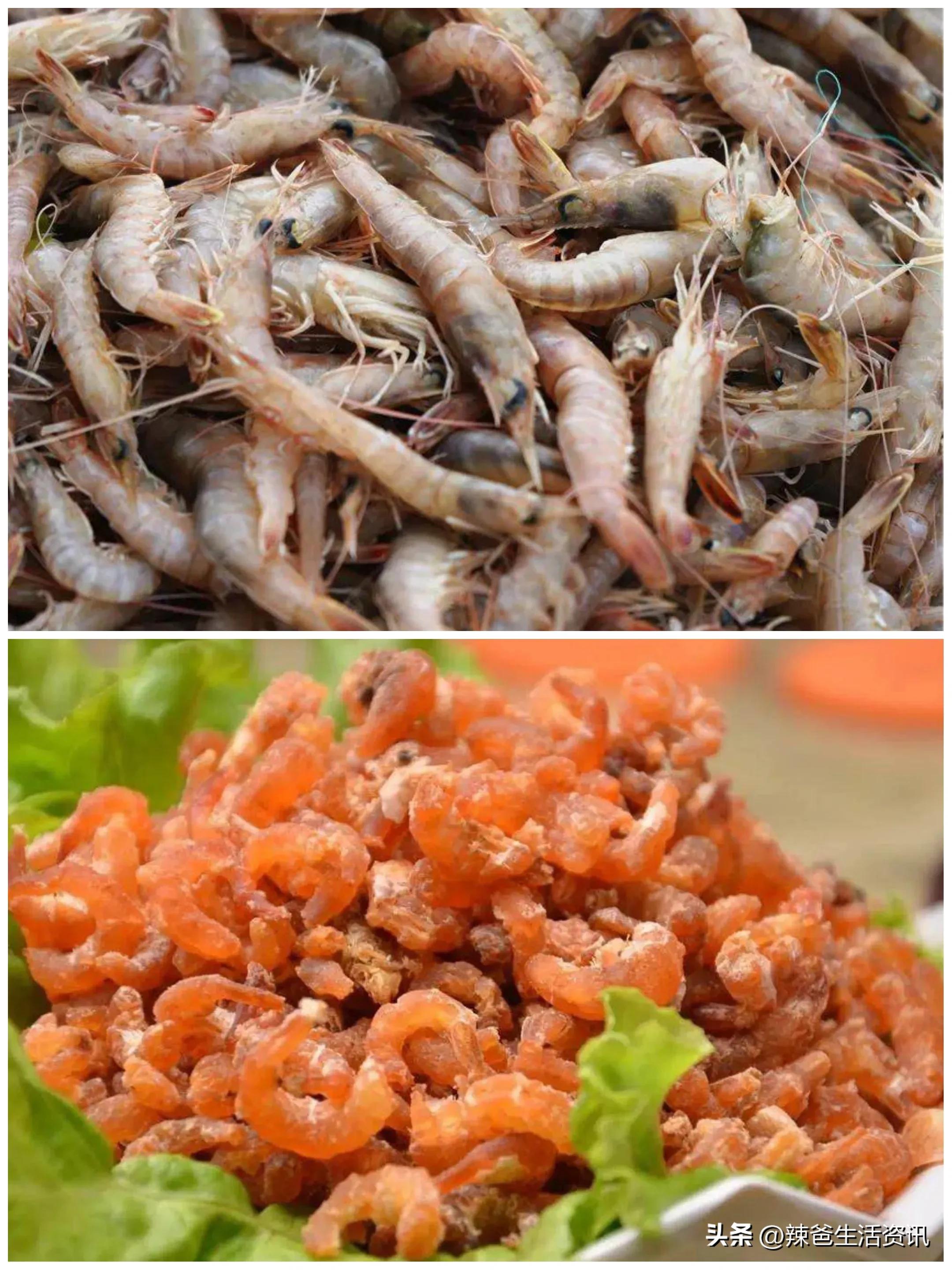 青岛冬季旅游攻略海鲜,青岛旅游推荐什么海鲜好吃