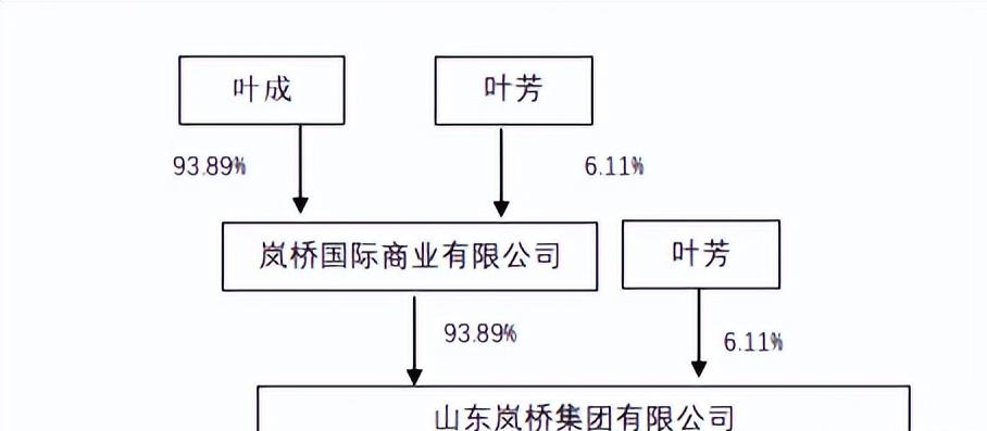 山东岚桥集团负债率,山东岚桥集团债务违约