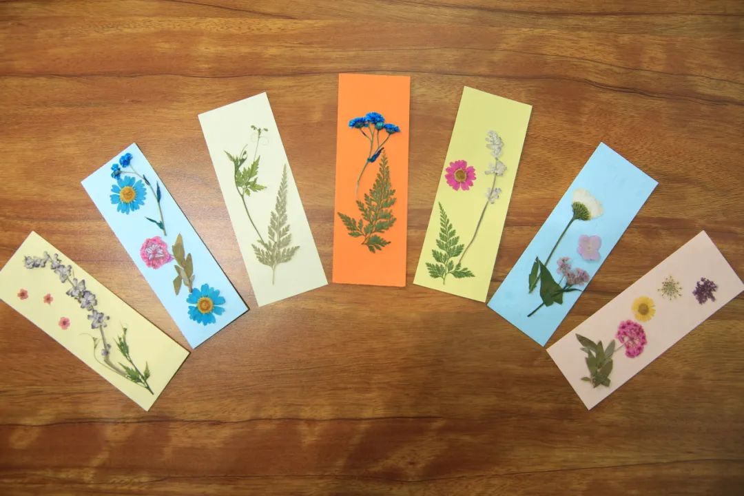 绚烂花海,绚烂花海现在还有吗