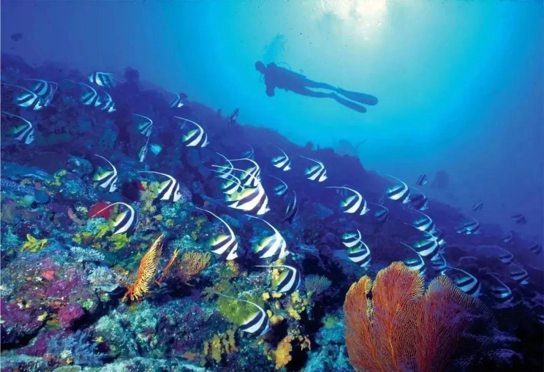 蓝色海景壁纸图片大全,海景壁纸4k超清全面屏