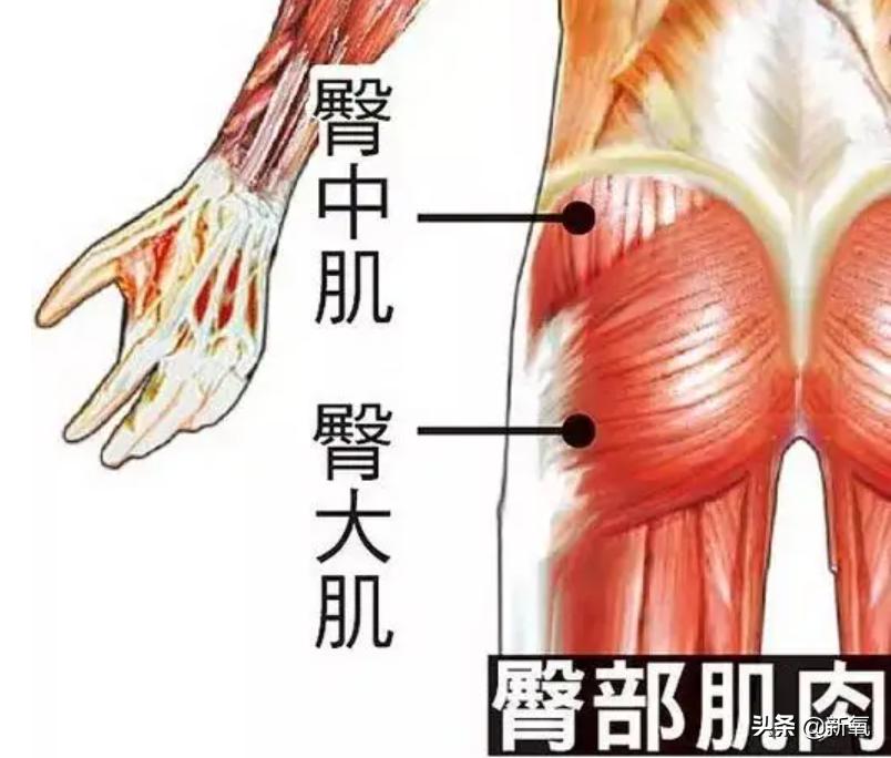 富豪千金妮可拉,富家千金妮可拉