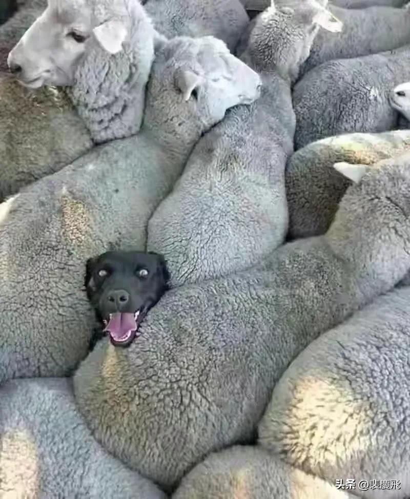 死亡病例存在的问题及整改措施,死亡病例存在问题及整改措施