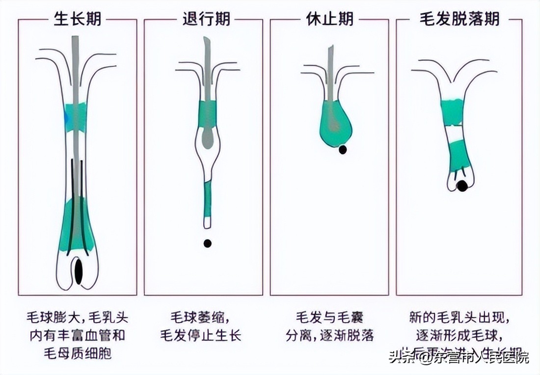 兔年越来越美丽,兔年变美视频