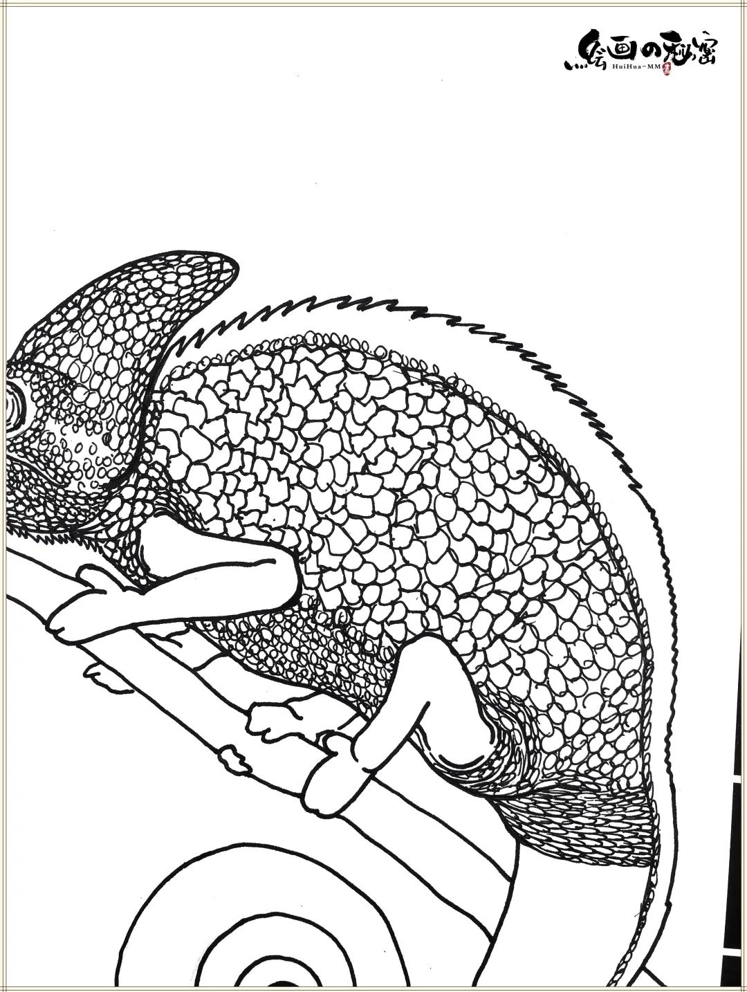 变色龙变色全过程,变色龙小说原文
