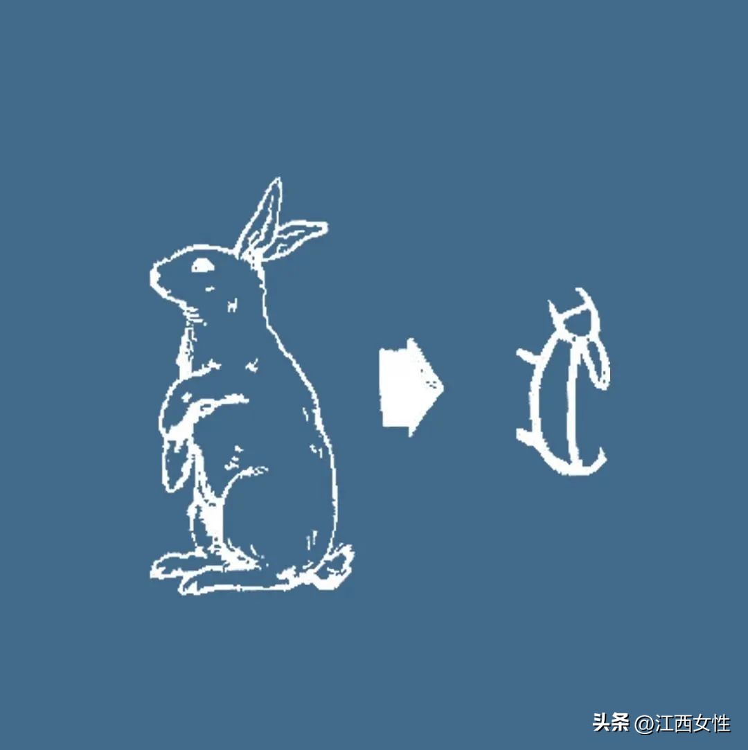 原来，你是这样的兔兔！