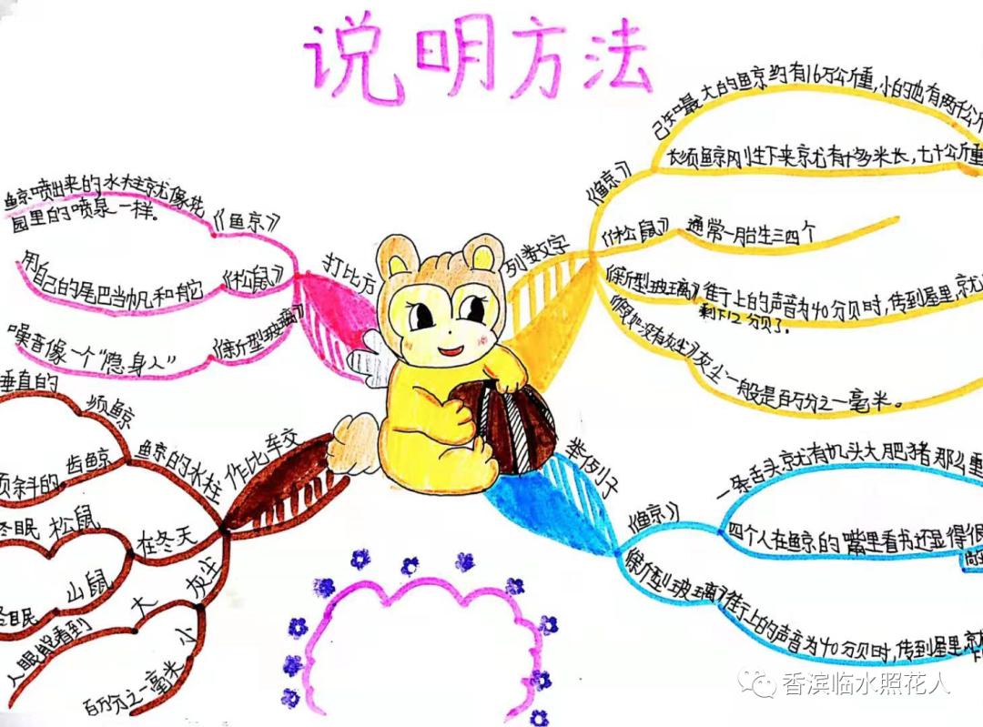 五年级我的心爱之物讲解,五年级我的心爱之物课文写玩具熊