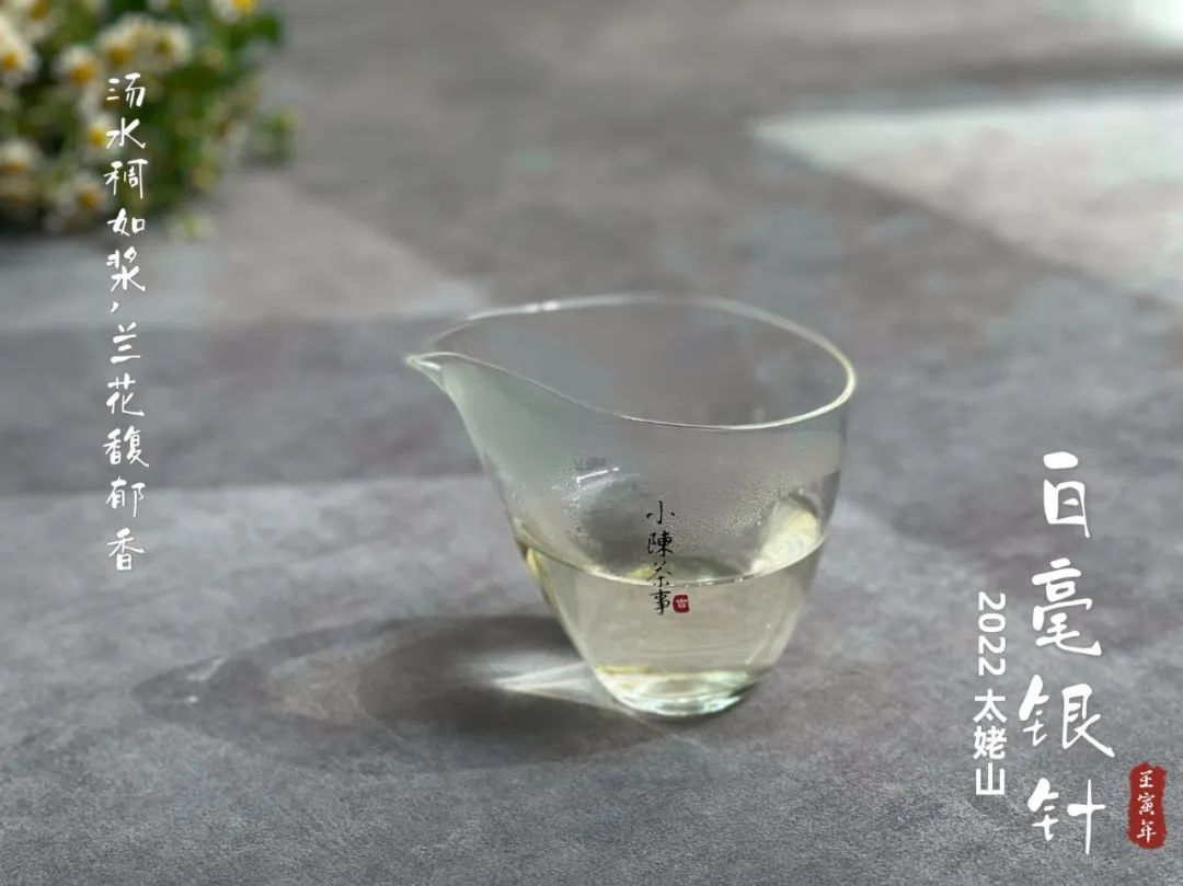 明前茶绿茶制作和雨前茶区别,白茶明前茶与明后茶哪个好喝