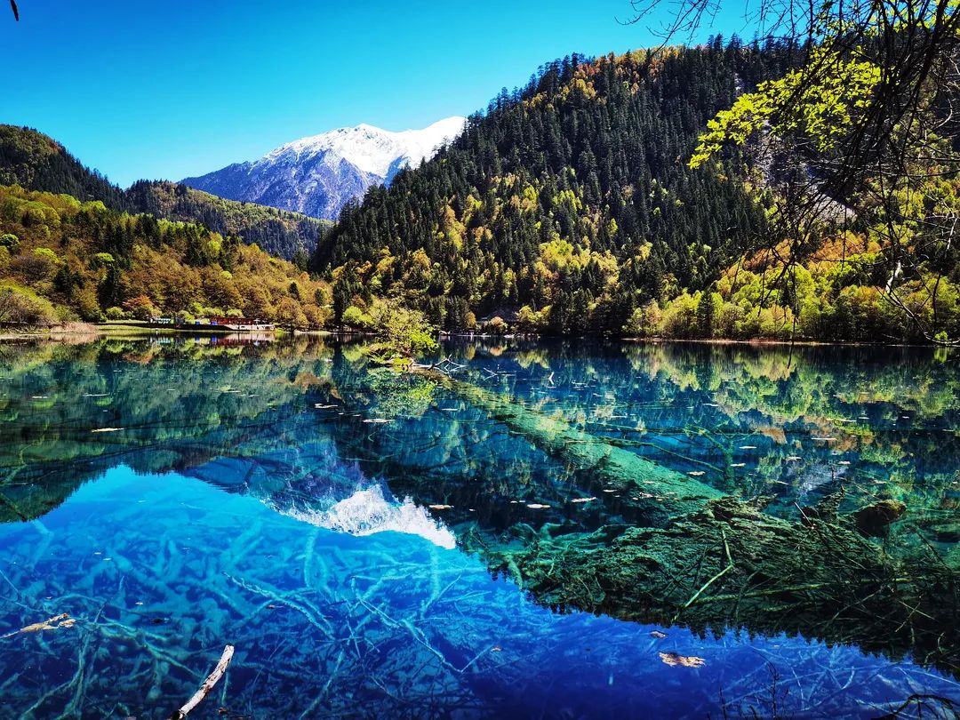 九寨沟震撼现场,最新九寨沟美景