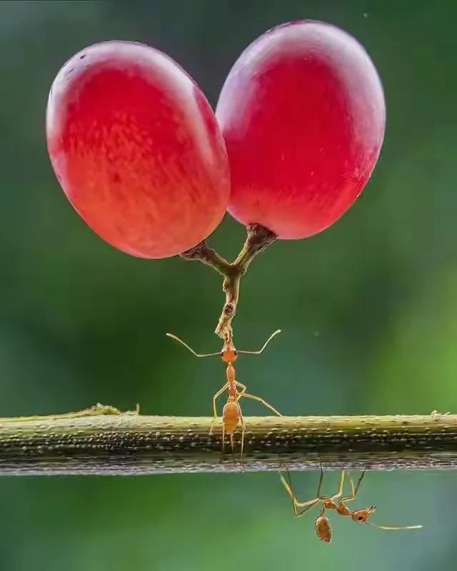 1853年日本第一武士老照片 (100张日本武士老照片)