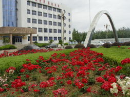 合肥市十大高中排名,合肥市十大高中排行榜