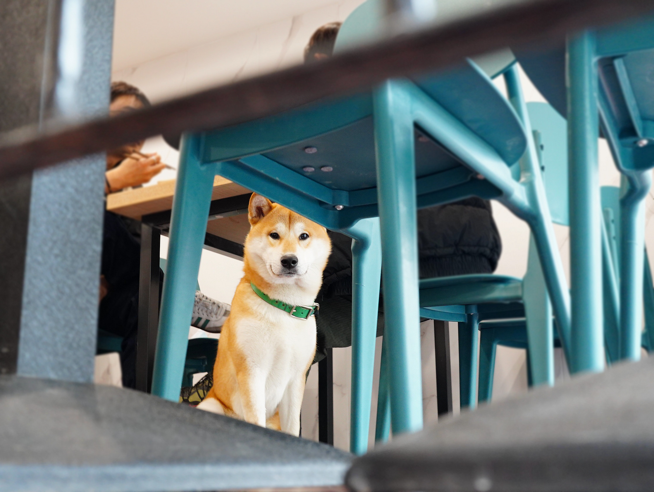 粉家螺蛳粉有几家店,粉家螺蛳粉第一家店