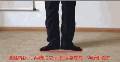 站桩1000小时后的体会与感悟（深度剖析）