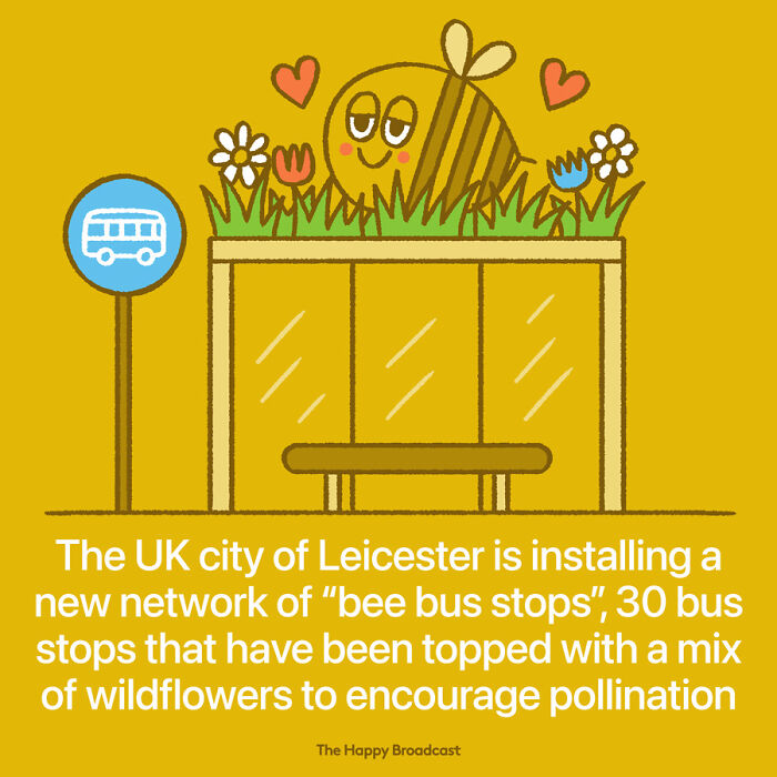 2021年世界各地的40个好消息，在沉重的一年，也能看到一些阳光