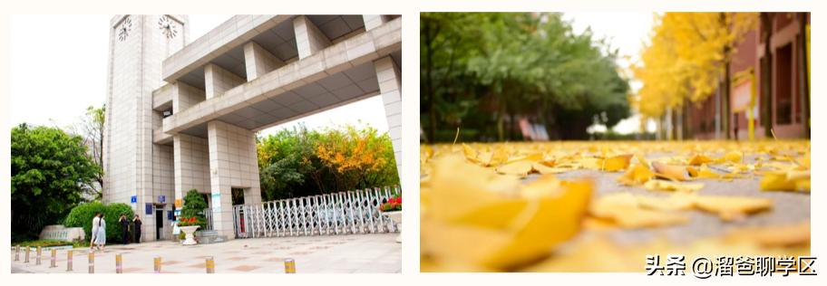 小学初中一定要好好规划,居住条件怎么改善